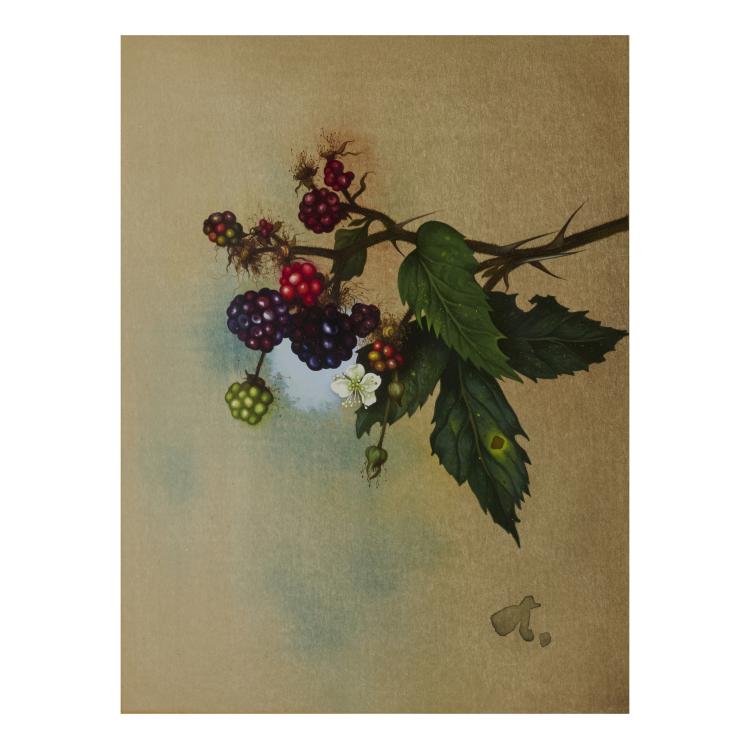 Bild 6 zu Objekt, 4 gouaches Rose, Blackberry, Blueberry, Lily of the Valley, presumably late 1930s, Willy Kriegel, 181C 732
