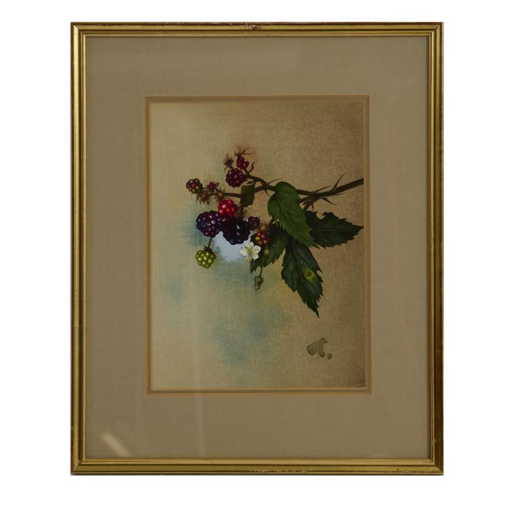 Bild 7 zu Objekt, 4 gouaches Rose, Blackberry, Blueberry, Lily of the Valley, presumably late 1930s, Willy Kriegel, 181C 732