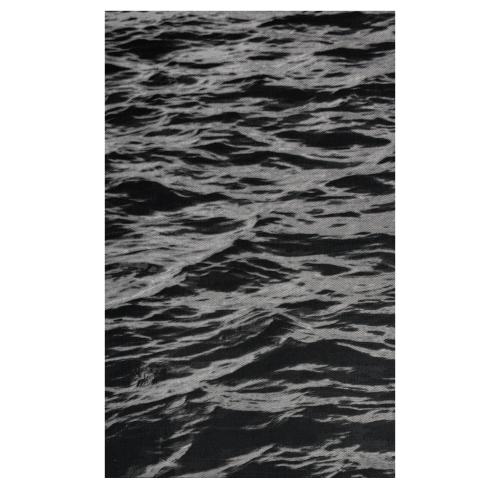 Untitled (Water Image 469), 2004