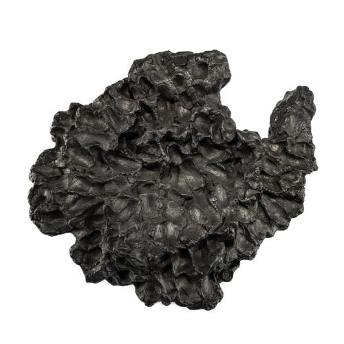 Wall sculpture 'Finger on Ear', 2007