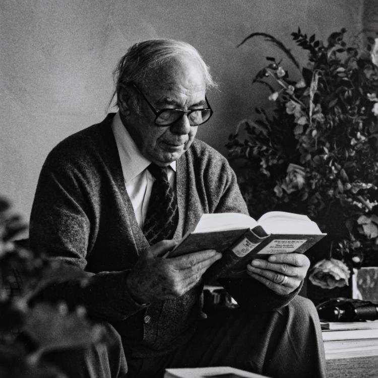 Bild 2 zu Objekt, Portrait photograph 'Horst Janssen', 1987, Ingrid von Kruse, 181C 765