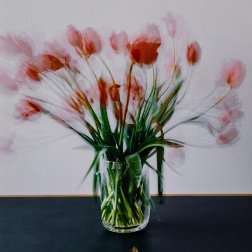 '10.2.–20.2.2007', 2007 (printed 2008)