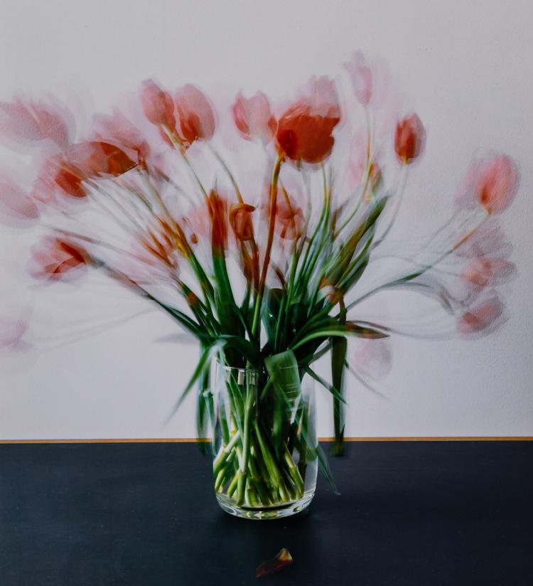 Hauptbild zu Objekt, '10.2.&ndash;20.2.2007', 2007 (printed 2008), Michael Wesely, 181C 767