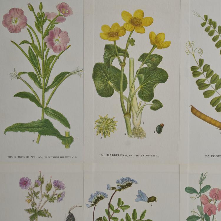 Bild 7 zu Objekt, Barschrank, 1950er Jahre, Josef Frank (im Stile von),C.A.M. Lindman (im Stile von), Schweden / Sweden, 181A 271