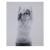 'Marilyn Monroe: Vogue (from the last sitting)', 1967 (printed later)