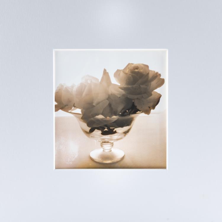 Hauptbild zu Objekt, 2 flower still lifes, 1990/2000 (print), Ingrid von Kruse, 181C 766