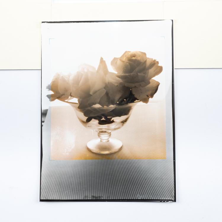 Bild 2 zu Objekt, 2 flower still lifes, 1990/2000 (print), Ingrid von Kruse, 181C 766