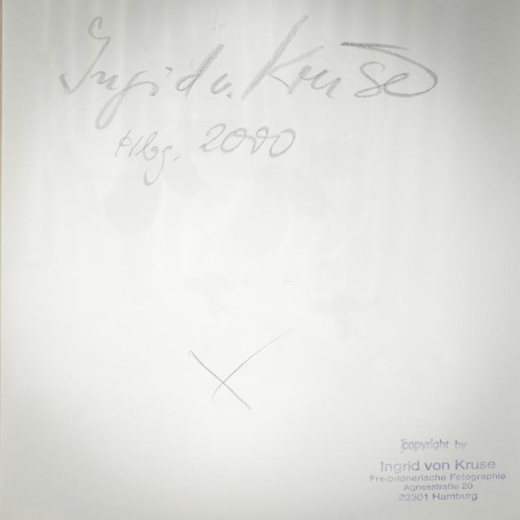 Bild 3 zu Objekt, 2 flower still lifes, 1990/2000 (print), Ingrid von Kruse, 181C 766