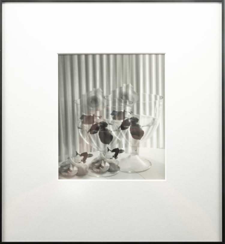 Bild 6 zu Objekt, 2 flower still lifes, 1990/2000 (print), Ingrid von Kruse, 181C 766