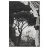 'Forum Romanum. Arch of Titus', 1980 (printed 2011) and View through an Arcade of the Greek Theater in Taormina, early 1980s (printed probably later)