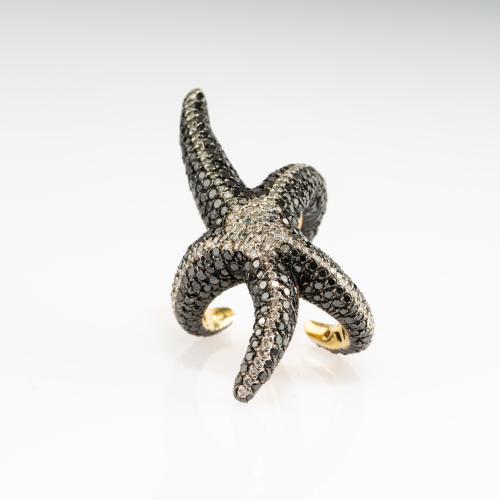 Ring 'Seestern', um 2010