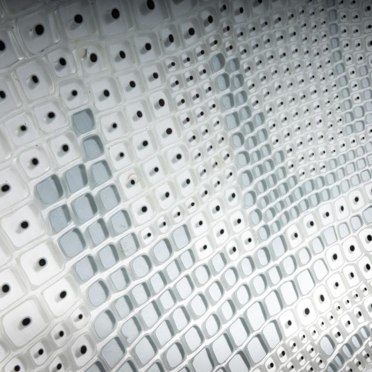 Bild 1 zu Objekt, Bowl 'Primavera', 1968, Alfredo Barbini,Flavio Barbini, Barbini, Alfredo, Murano, 181B 610