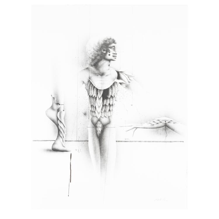Bild 1 zu Objekt, Portfolio 'Rosa', 1981, Paul Wunderlich, Edition Volker Huber, Offenbach am Main, 183C 939