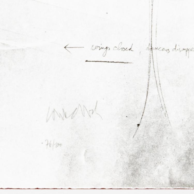 Bild 3 zu Objekt, Portfolio 'Rosa', 1981, Paul Wunderlich, Edition Volker Huber, Offenbach am Main, 183C 939