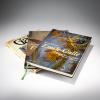 Three Books Emile Gallé