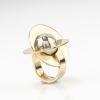 Ring, 1970/71