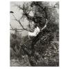 Photography and publication 'Erinnerungsspur – Statische Vibration', 1978/79