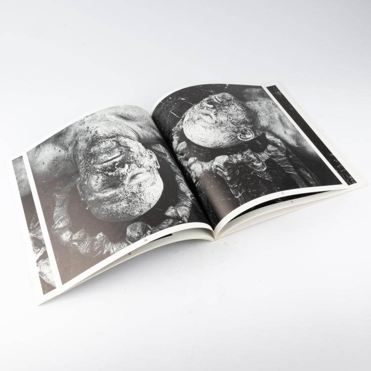 Bild 3 zu Objekt, Photographie und Publikation 'Erinnerungsspur &ndash; Statische Vibration', 1978/79, Dieter Appelt, 183C 974