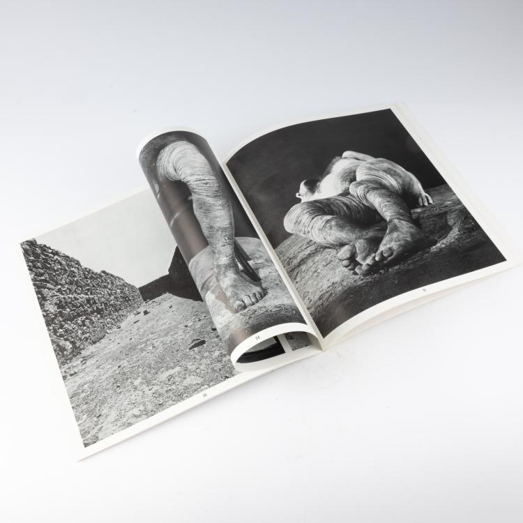 Bild 4 zu Objekt, Photographie und Publikation 'Erinnerungsspur &ndash; Statische Vibration', 1978/79, Dieter Appelt, 183C 974