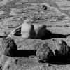 2 photographs #12 and #13 from the series 'Nature Self-Portrait', 1996
