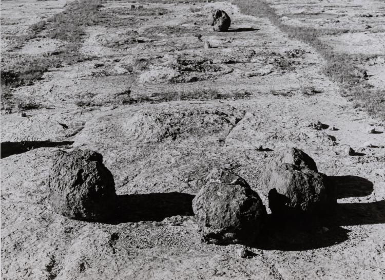 Bild 2 zu Objekt, 2 photographs #12 and #13 from the series 'Nature Self-Portrait', 1996, Laura Aguillar, 