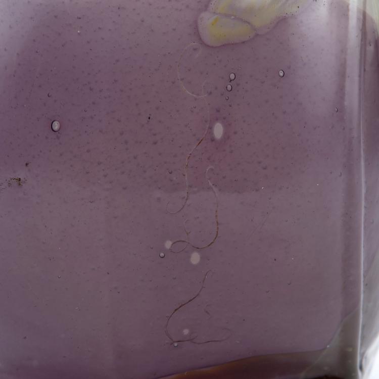 Bild 5 zu Objekt, 'Narcisse' Marqueterie vase, 1898-1900, Gall&eacute;, Emile, Nancy, 123 291