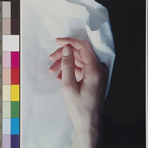 Ohne Titel (Hand), 2000