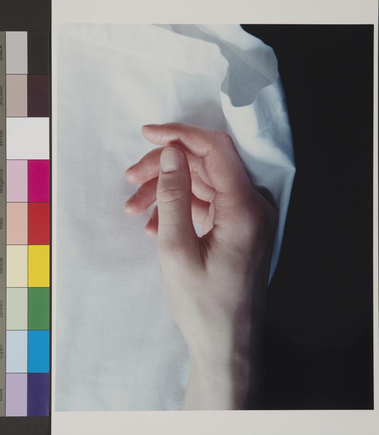 Hauptbild zu Objekt, Untitled (Hand), 2000, Carla van de Puttelaar, 124B 161