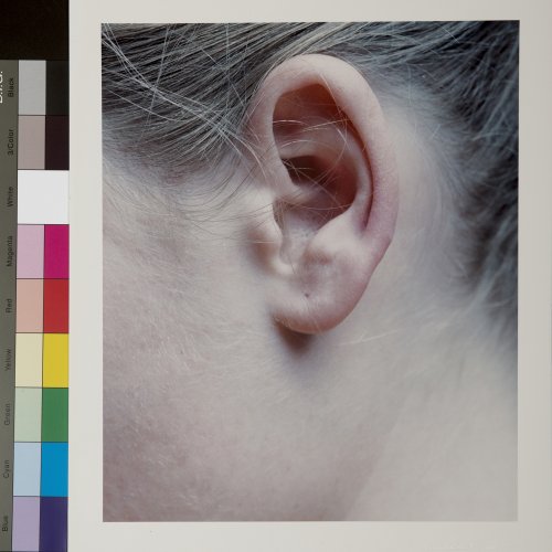 Untitled (Ear), 2002 