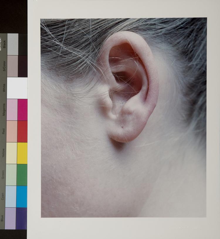 Hauptbild zu Objekt, Ohne Titel (Ohr), 2002, Carla van de Puttelaar, 124B 162
