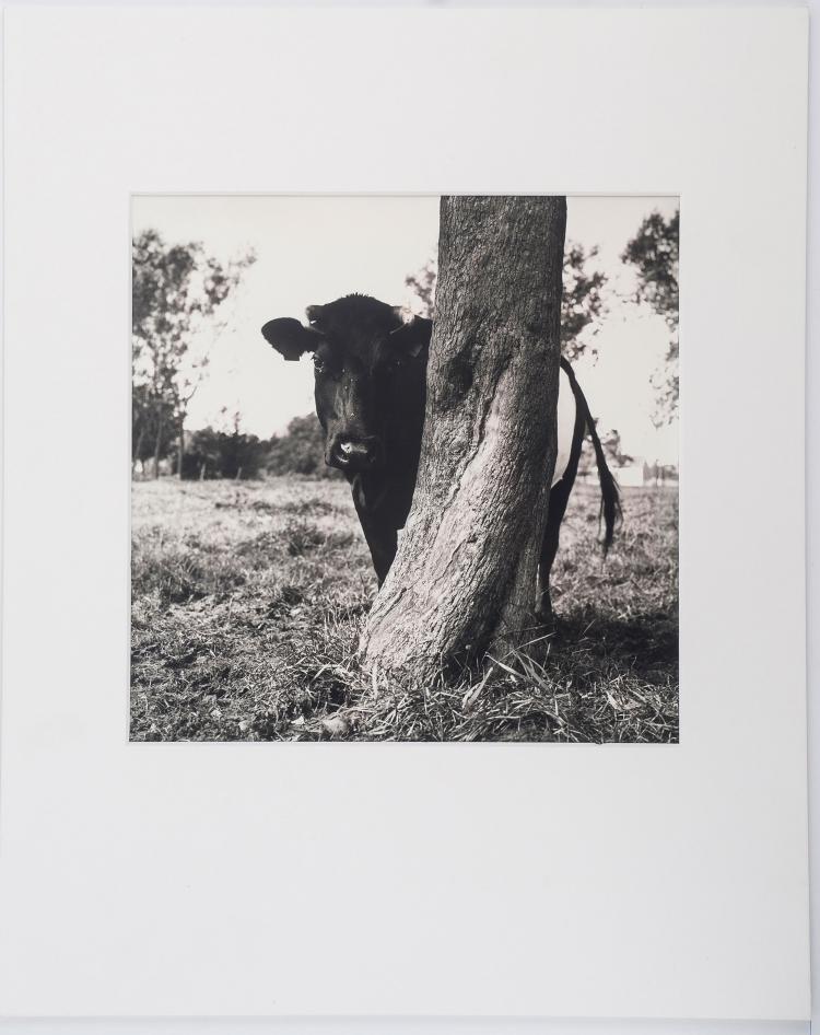 Hauptbild zu Objekt, 'Lakenfelder' NL (for Netherlands) -Lexmond 2000, Ursula B&ouml;hmer, 127C 673