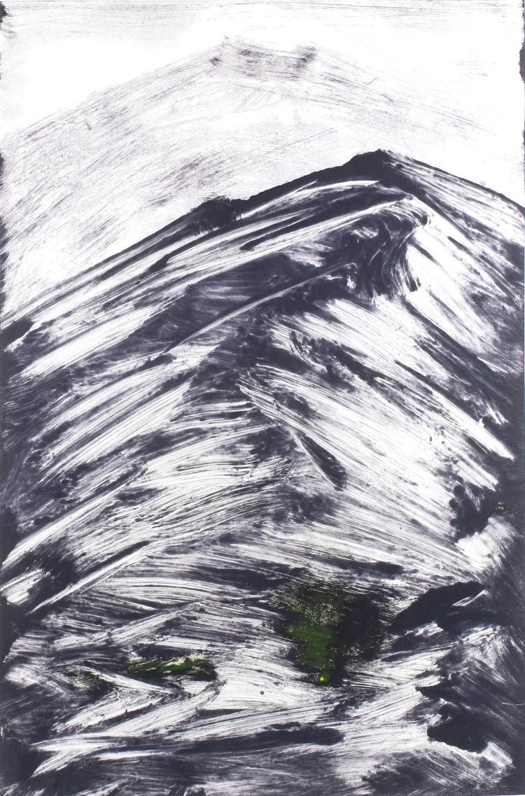 Hauptbild zu Objekt, Ohne Titel (Monotypie), 2009, 132A 63