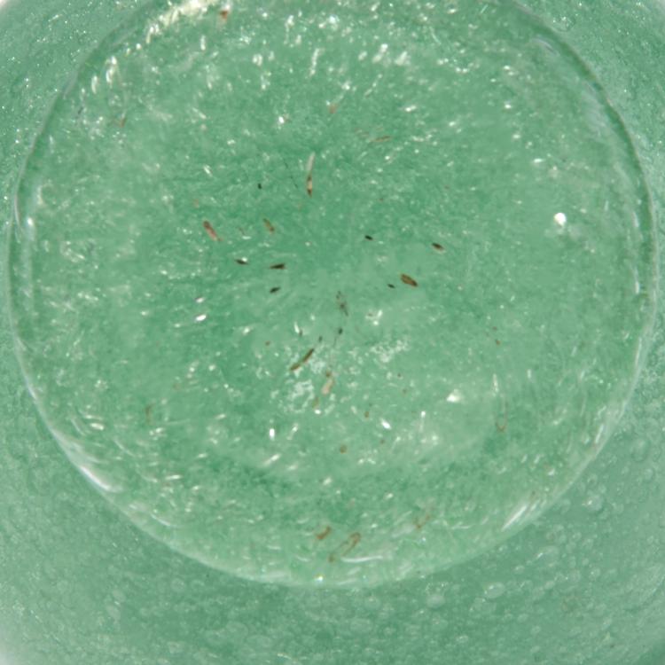 Bild 2 zu Objekt, Flakon 'A bollicine', um 1932, Carlo Scarpa, Venini & C., Murano, 131C 596