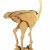 'Ostrich', 1970s