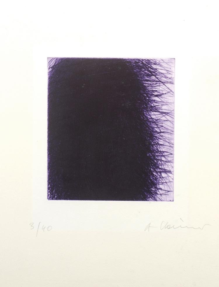 Hauptbild zu Objekt, 'Lila Wald', 2001, Arnulf Rainer, 136B 102