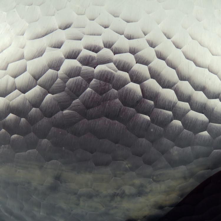 Bild 5 zu Objekt, Vase 'Battuto bicolore', um 1940, Carlo Scarpa, Venini & C., Murano, 137C 625