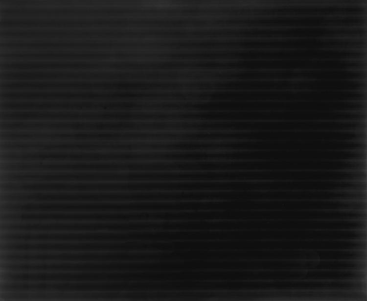 Hauptbild zu Objekt, 'Black Willow', 1999, Max Cole, 138C 808