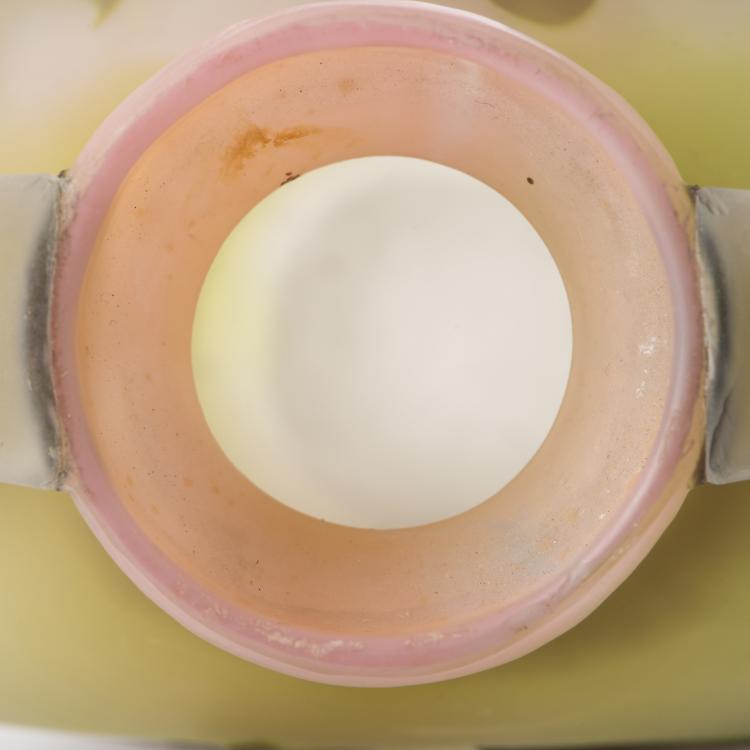 Bild 6 zu Objekt, 'Berce des pr&eacute;s' vase with handles, 1908-16, Gall&eacute;, Etablissements, Nancy, 138B 232