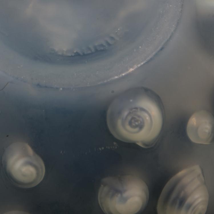 Bild 4 zu Objekt, 'Palissy' - 'Escargots' vase, 1926, Lalique, Ren&eacute;, Wingen-sur-Moder, 138A 35