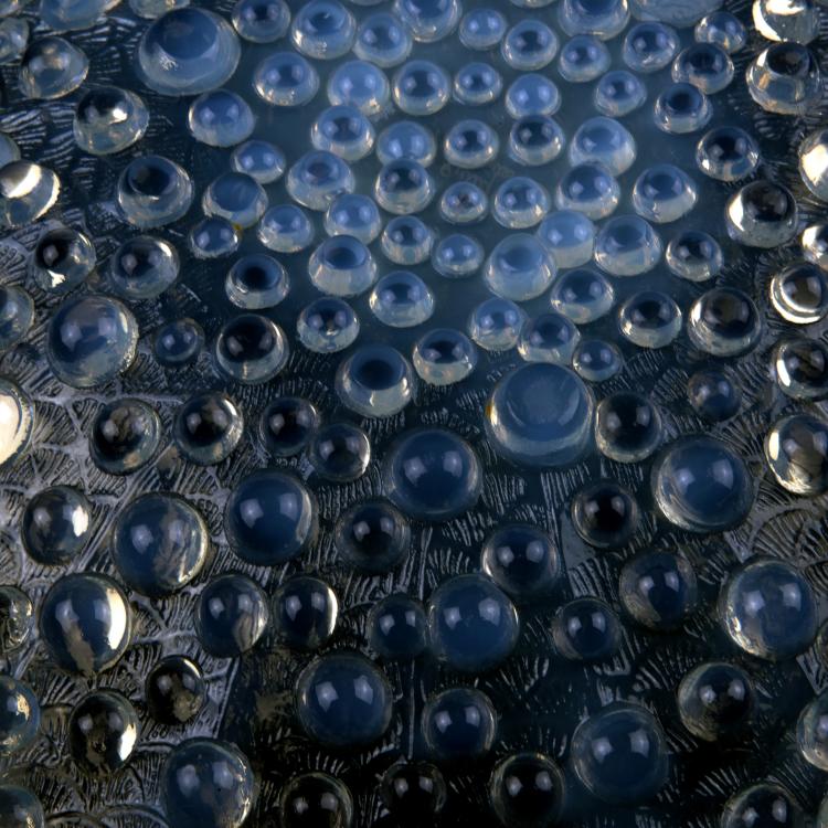 Bild 1 zu Objekt, 'Roscoff' plate, 1932, Lalique, Ren&eacute;, Wingen-sur-Moder, 138A 68