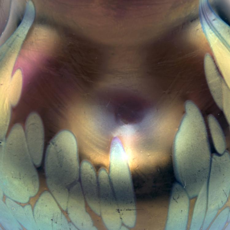 Bild 2 zu Objekt, 'Medici' vase, 1902, L&ouml;tz Wwe., Klosterm&uuml;hle, 138B 322