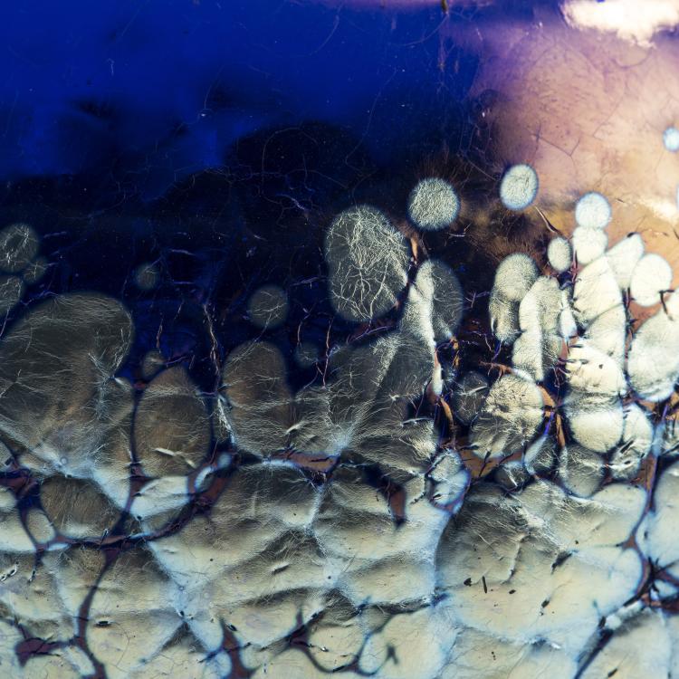 Bild 4 zu Objekt, 'Ph&auml;nomen' vase, 1900, L&ouml;tz Wwe., Klosterm&uuml;hle, 138B 313