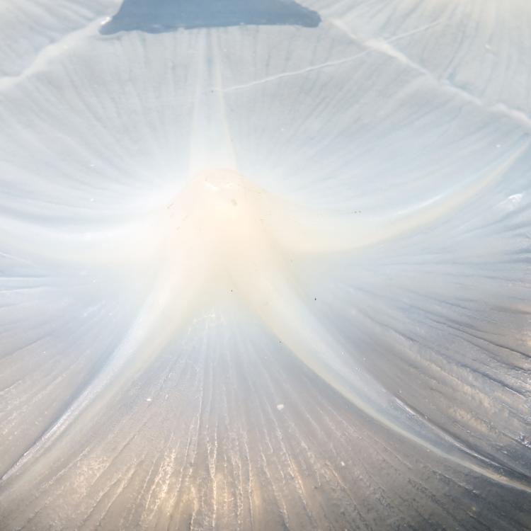 Bild 1 zu Objekt, 'Volubilis' bowl, 1921, Lalique, Ren&eacute;, Wingen-sur-Moder, 138A 20
