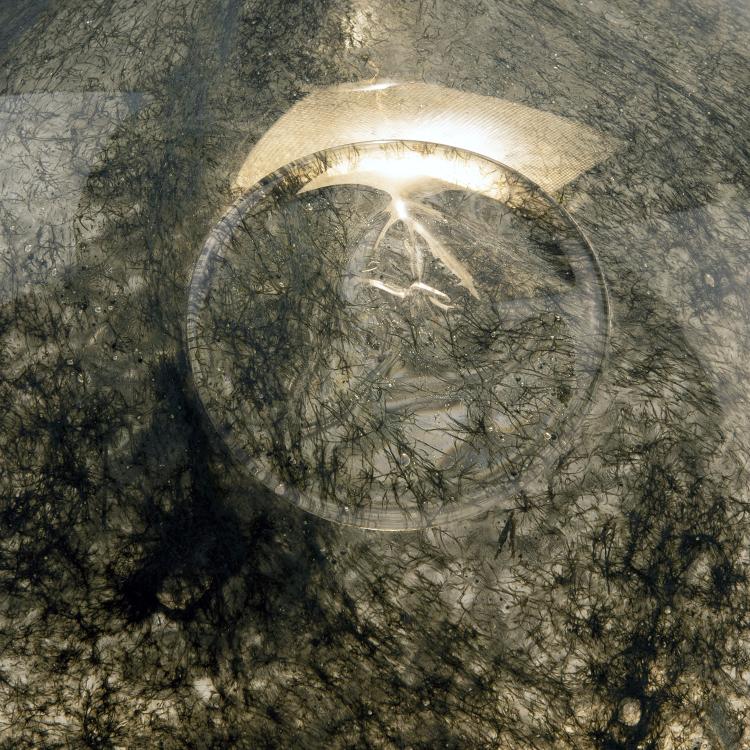 Bild 2 zu Objekt, Vase 'Crepuscolo', 1935/36, Ercole Barovier, Barovier, Ferro Toso Barovier, Murano, 140C 450