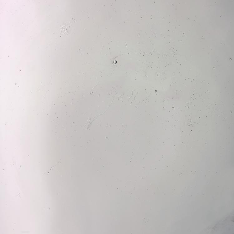 Bild 4 zu Objekt, 'Libellules' jar, c. 1884, Gall&eacute;, Emile, Nancy, 141A 24