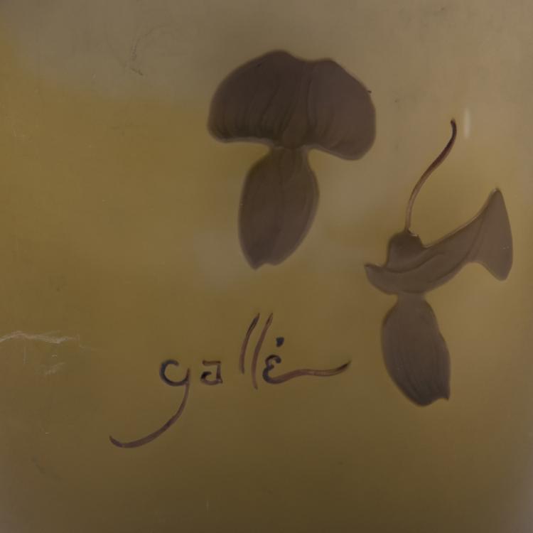 Bild 3 zu Objekt, Vase 'Glycines', 1902-04, Gall&eacute;, Emile, Nancy, 141A 64