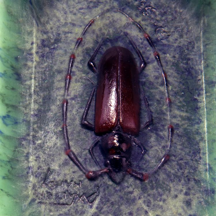 Bild 2 zu Objekt, 'Capricorne du Ch&egrave;ne' ashtray, 1920s, Henri Berg&eacute;, Walter, Amalric, Nancy, 141A 176