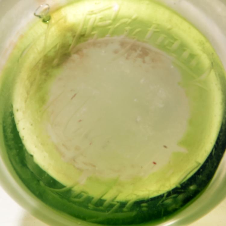 Bild 2 zu Objekt, 'Courgettes et Fleurs' vase, 1904-05, Christian Fr&egrave;res & Fils, Meisenthal, 141A 8