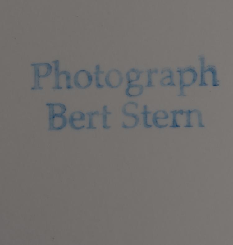 Bild 1 zu Objekt, 'Marilyn Monroe - The Last Sitting', 1967, Bert Stern, 142C 342