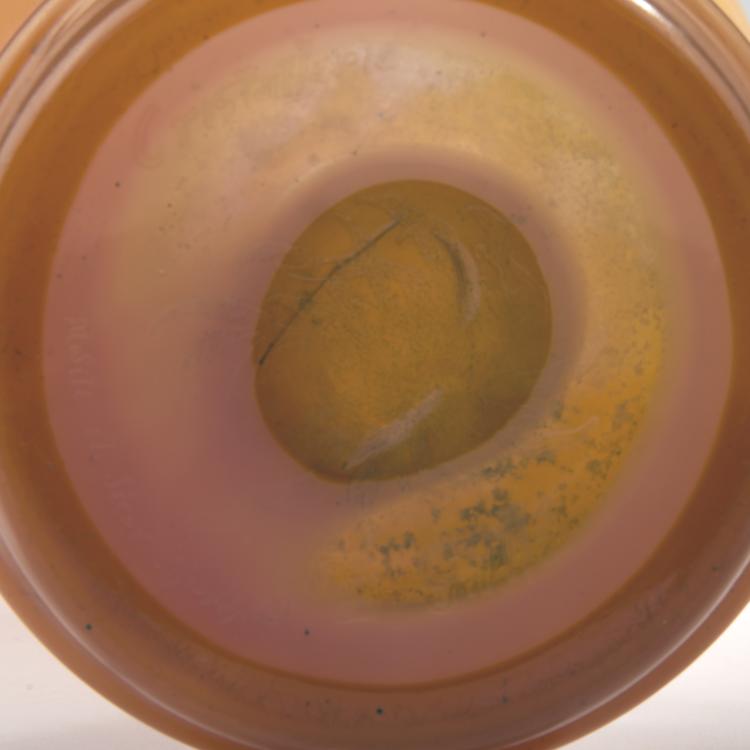 Bild 2 zu Objekt, Vase 'Chrysanth&egrave;mes', 1898-1900, Gall&eacute;, Emile, Nancy, 141C 459